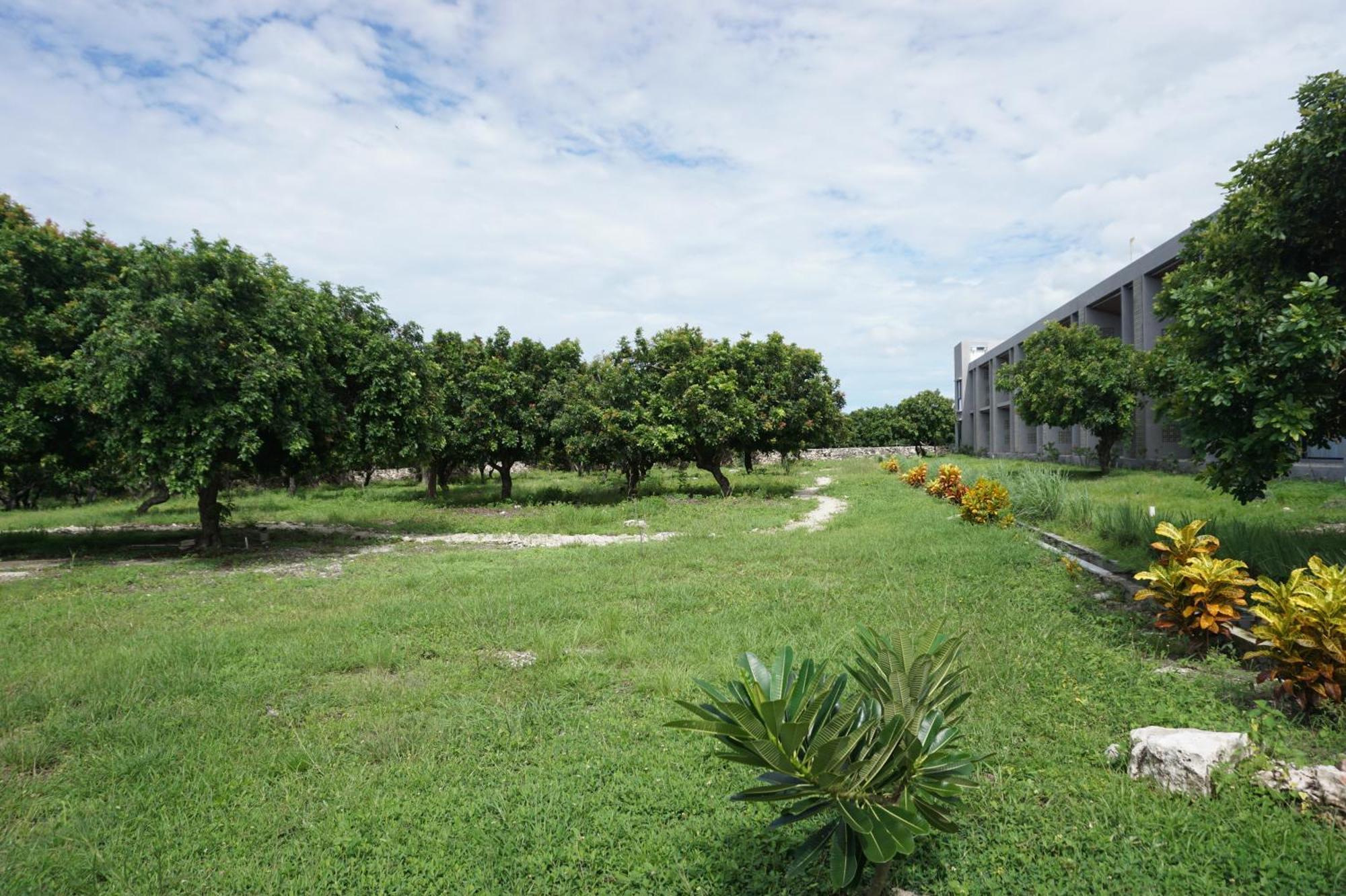 Kambaniru Beach Hotel And Resort Waingapu Kültér fotó